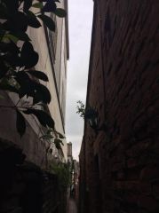 106年呼吸治療師公會年度旅遊-鹿港鎮半日遊